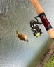 SHIMANO 禧瑪諾21新款卡迪夫CARDIFF NX路亞竿溪流微物竿馬口竿魚竿 1.93米 S64L直柄 曬單實(shí)拍圖