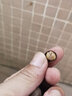 花俊山茶花種籽花卉種子花木種子林木種子盆栽山茶花樹四季易種種籽 山茶花伊麗莎白30粒+肥 曬單實(shí)拍圖