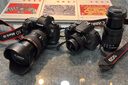 佳能/Canon 50mm f/1.8 II  50/1.8 STM 二手單反小痰盂定焦人像鏡頭 50mm f/1.8 STM 三代小痰盂 99新 曬單實(shí)拍圖