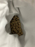 玄境堂 海南原生態(tài)星月菩提子藏式直切藥片正月108顆手串精品文玩佛珠 原生態(tài)黃 藥片12x6mm 正月(圓角) 曬單實(shí)拍圖