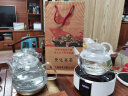 金灶（KAMJOVE） 迷你电陶炉煮茶养生茶炉家用泡茶煮茶炉功夫泡茶炉烧水茶具罐罐烤奶 CH-90 白色（单炉） 实拍图