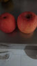 沙窝曙光陕西洛川红富士苹果水果新鲜脆甜冰糖心时令应季丑苹果水果礼盒 带箱9.5斤特大果（净重8.5-9斤） 实拍图