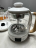 小熊（Bear）电陶炉 煮茶器煮茶炉煮茶壶 围炉煮茶黑茶花茶泡茶蒸茶一体不挑器具0.6L ZCQ-L05H5 实拍图