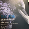 鳥(niǎo)的大腦——鳥(niǎo)類(lèi)智商的探秘之旅 曬單實(shí)拍圖