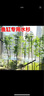 中夢(mèng)水杉水培魚(yú)缸造景溪流缸水杉盆栽盆景魚(yú)池水生植物綠植水草室內外 水杉50-60cm高5棵 曬單實(shí)拍圖