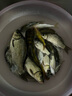 川澤七星漂線組草洞漂野釣浮漂散裝超靈敏度傳統(tǒng)釣鯽魚漂一套魚漂 圓柱形A1 (線號(hào)0.8-2.0) 七星漂7+1+1(5組裝) 曬單實(shí)拍圖