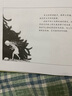 凱迪克大獎大師繪本集10冊 百年經(jīng)典美繪本小說閱讀書目兒童小學(xué)生禮物男女孩小朋友閱讀經(jīng)典兒童文學(xué)故事書3-6歲兒童繪本推薦幼兒園小學(xué)生課外書籍閱讀元旦新年禮物 小精靈大森林系列：太陽蛋 曬單實拍圖