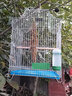 HKML*大號(hào)鳥(niǎo)籠子大號(hào)虎皮鸚鵡籠繁殖籠文鳥(niǎo)金屬籠八哥鳥(niǎo)籠相思鳥(niǎo)籠 不銹鋼色 單籠+6件套 曬單實(shí)拍圖