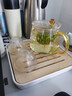 陶瓷故事 玻璃茶壺套裝耐高溫家用辦公室過(guò)濾花泡茶壺泡茶杯紅茶茶具套裝 玲瓏壺大號(hào)+2個(gè)磨砂凝霜杯+四方小茶盤(pán) 曬單實(shí)拍圖