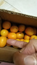 廣西滑皮金桔新鮮水果脆皮小桔子金橘子應季整箱 500g 精選果 曬單實拍圖