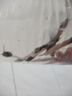 本地塘鲺魚(yú)苗三黃塘鲺胡子鯰魚(yú)塘角魚(yú)苗土塘鲺魚(yú)塘虱冬季淡水魚(yú)苗 50條4-6厘米  加6條加魚(yú)糧 曬單實(shí)拍圖
