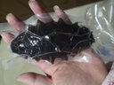 昊海升 大連冷蒸即食海參禮盒 冷凍鮮食海參 獨(dú)立包裝開袋即食 遼刺參 500g 7-9只/斤 曬單實(shí)拍圖