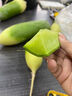 青尊園天津正宗沙窩蘿卜新鮮應(yīng)當(dāng)季蔬菜甜脆蘿卜青皮綠蘿卜 3斤凈重 曬單實(shí)拍圖