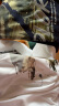 NASA GISS官方潮牌联名t恤男纯棉潮流日系宽松圆领印花学生短袖 黑色 4XL  晒单实拍图