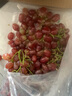 果益壽云南克倫生無(wú)籽紅提子新鮮脆甜葡萄 中秋送禮品新鮮水果禮盒裝 克倫生紅提5斤精品果 曬單實(shí)拍圖
