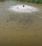 魚(yú)耀濁水凈水立清魚(yú)塘凈水劑凈化水質(zhì)渾濁水綠水黃泥水清澈劑水產(chǎn)養(yǎng)殖 3袋裝【推薦】惠 曬單實(shí)拍圖
