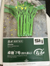 壽禾 四九菜心種子苗四季種青菜苔蔬菜籽 濰育卓嫩7號(hào)四九菜心種子50g 曬單實(shí)拍圖