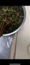好管家硅膠揉面墊食品級和面墊子面食面點(diǎn)包餃子搟面墊三件套 【納米抗菌】鉑金硅膠墊黃80*60 曬單實(shí)拍圖