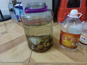 之扎瑪之扎瑪云南純包谷酒桶裝散裝玉米酒清香型純糧食酒泡藥酒老白干酒 56度 5L 1桶 純包谷酒 曬單實(shí)拍圖