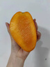騎猴趕馬金煌芒當季新鮮水果云南現(xiàn)摘熱帶芒果整箱送禮金煌芒甜心芒果 凈重4.5斤【單果300-400g】精選裝 新鮮采摘 顆顆甄選 曬單實拍圖