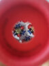 Hape(德国)儿童科学实验玩具万花筒多棱镜红色幼儿节日礼物E8399 实拍图