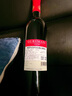 格雷瑪尼【超市紅酒】格魯吉亞原瓶進口紅葡萄酒750ml*1瓶 薩別拉維干紅 曬單實拍圖