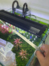 派楚水族不銹鋼鏡面水草剪刀水草夾鑷子平沙鏟水草種植修剪造景工具 砂光彎剪 25cm 曬單實(shí)拍圖