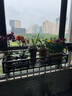 元良陽臺花盆掛架不銹鋼 陽臺花架欄桿花盆掛架懸掛綠蘿多肉花架子窗臺壁掛式置物架 掛鉤式100*30*18 曬單實拍圖