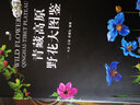 青藏高原野花大圖鑒（精裝） 牛洋 重慶大學(xué)出版社 賞植物和壯美的自然景觀(guān) 青藏高原野花的識別圖鑒 植 曬單實(shí)拍圖