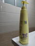 Ginger oboysa歐貝莎生姜洗發(fā)水增防脫發(fā)固發(fā)芙緹生姜防脫育發(fā)洗發(fā)水800ml四代 芙緹生姜防脫育發(fā)洗發(fā)水（熱療） 曬單實(shí)拍圖