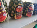 都乐Dole 菲律宾无冠金菠萝 一级中果2个装 单果重800g起 生鲜水果 实拍图