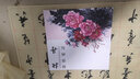 初涉畫(huà)壇：牡丹/中國寫(xiě)意花鳥(niǎo)畫(huà)技法叢書(shū) 曬單實(shí)拍圖