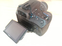 索尼/Sony a37 a57 a77 a290 a350 a390 a450二手單反相機半畫幅單反 A200+18-55鏡頭 套機 99成新 曬單實拍圖