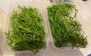 曠古農業(yè)【順豐】新鮮黃金柳芽 柳條柳葉酒店西餐日料烘焙 擺盤(pán)裝飾點(diǎn)綴 1盒約15支 曬單實(shí)拍圖