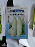 中科茂華（ZHONG KE MAO HUA）中科茂華水果瓜果蔬菜種子雜交花豹甜瓜種子花皮綠肉花蕾八里香類(lèi) 花豹甜瓜種子100粒/袋 曬單實(shí)拍圖
