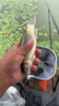 民間藝人方形魚(yú)護(hù)涂膠防掛速干漁護(hù)釣魚(yú)網(wǎng)袋鋼圈加固魚(yú)護(hù)網(wǎng)兜 大號(hào)方形魚(yú)護(hù)45x36*2.5米+包 曬單實(shí)拍圖