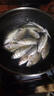 艾尚博悅伊豆魚鉤倒刺釣鉤50枚進(jìn)口歪嘴魚勾垂釣用品漁鉤漁具配件釣魚用品 無刺4號-50枚 曬單實拍圖