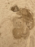小小動物玩數(shù)學(xué)中英雙語圖畫書（全兩冊）奇想國童書 曬單實拍圖