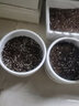 三色堇花種子四季種易活多年生耐寒矮生花卉種子貓臉花種籽貓兒臉人面花鬼臉盆栽庭院花籽簡雪 三色堇種子200粒 曬單實拍圖
