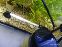 老行家臺(tái)灣老行家加熱棒 魚(yú)缸水草缸加溫棒迷你恒溫防爆超短 100W 約18CM 加溫度計(jì) 曬單實(shí)拍圖