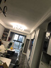 帝釜吊燈客廳大燈全屋燈具套餐北歐輕奢主臥室房間燈現(xiàn)代餐廳滿天星燈 黑色16頭煙灰燈罩 無(wú)極調(diào)光 曬單實(shí)拍圖