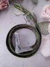 SMVP軍訓腰帶學(xué)生專(zhuān)用女青少年中小學(xué)高中男生戰術(shù)皮帶大學(xué)生帆布插扣 軍綠色 曬單實(shí)拍圖