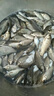 執桿江湖一杯搞定經(jīng)典老三樣釣魚(yú)餌料野釣三合一單開(kāi)鯽鯉草鳊通殺 經(jīng)典老三樣【買(mǎi)3杯送3杯】 曬單實(shí)拍圖