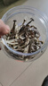 植宴鹿茸菇干貨特產(chǎn)級云南鹿茸菌一級香菇商用批發(fā) (虧本沖量)鹿茸菇250g 250g 曬單實(shí)拍圖