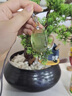 碧芳瓊收藏級天然黃水晶如來(lái)佛牌項鏈水晶掛件吊墜男送七夕情人節禮物 黃水晶收藏級【如來(lái)佛】 約44*29*19mm 曬單實(shí)拍圖
