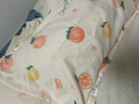 紅蜻蜓枕頭套枕套一對磨毛枕芯套學(xué)生家用2只裝單雙人枕頭罩 水果派對 曬單實(shí)拍圖