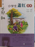 【新版 套裝-單本可選】小學(xué)生名家文學(xué)讀本 浙江少年兒童出版社 魯迅豐子愷汪曾祺巴金葉圣陶蕭紅朱自清沈從文蘇軾讀本 課外閱讀書籍 小學(xué)生蕭紅讀本 曬單實(shí)拍圖
