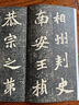 元楨墓志 安徽美術(shù)出版社 洪亮 編 書(shū)籍 曬單實(shí)拍圖