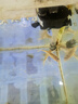 森森魚缸HR原廠標(biāo)配水泵led燈HE水泵配件 HR-380標(biāo)配的水泵(HQJ-500G黑) 曬單實(shí)拍圖