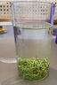 怡功夫 碧螺春綠茶2025新茶濃香型正宗毛尖明前春茶嫩芽散裝500克 碧螺春彩綠【口糧茶】250克2袋 曬單實拍圖